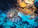 DSC00264.JPG