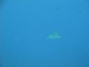 DSC00322.JPG
