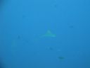 DSC00325.JPG