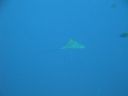 DSC00326.JPG