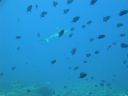 DSC00329.JPG