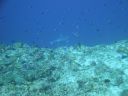 DSC00330.JPG