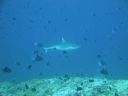 DSC00338.JPG