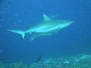 DSC00383.JPG