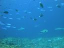 DSC00392.JPG