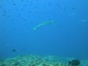 DSC00399.JPG