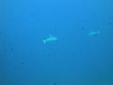 DSC00404.JPG