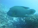 DSC00405.JPG