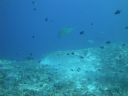 DSC00407.JPG
