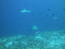 DSC00408.JPG