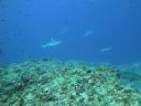 DSC00409.JPG