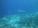 DSC00410.JPG