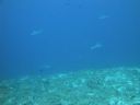 DSC00413.JPG
