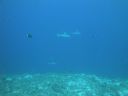 DSC00416.JPG