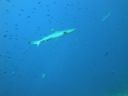 DSC00422.JPG