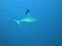 DSC00424.JPG