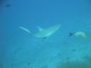 DSC00457.JPG