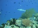 DSC00458.JPG