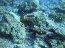 DSC00462.JPG