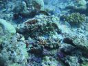 DSC00463.JPG