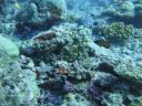 DSC00464.JPG