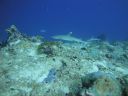 DSC00465.JPG