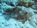 DSC00470.JPG