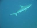DSC00481.JPG