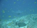 DSC00485.JPG