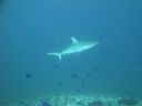 DSC00487.JPG