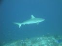DSC00491.JPG
