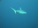 DSC00493.JPG