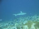 DSC00497.JPG