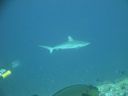 DSC00501.JPG