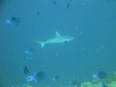 DSC00503.JPG
