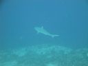 DSC00504.JPG