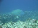 DSC00505.JPG