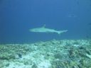 DSC00510.JPG