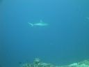 DSC00512.JPG