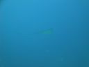 DSC00519.JPG