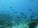 DSC00522.JPG