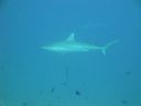 DSC00525.JPG