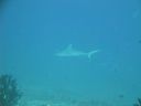 DSC00529.JPG