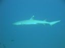 DSC00531.JPG