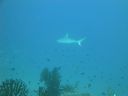 DSC00533.JPG