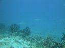 DSC00534.JPG
