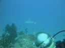 DSC00535.JPG
