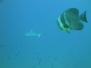 DSC00538.JPG