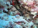 DSC00540.JPG