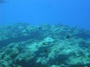 DSC00546.JPG